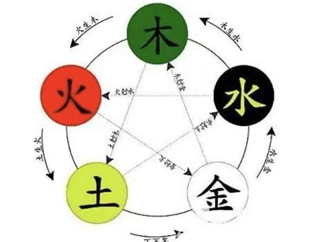 水木 字|文字的五行属性